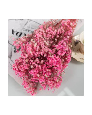 HOBİCİLER Pembe Büyük Demet Kurutulmuş Cipso Pıtırcık Çiçek Epoksi Süsü Paketleme Süsü Dekor Vazo Süsü