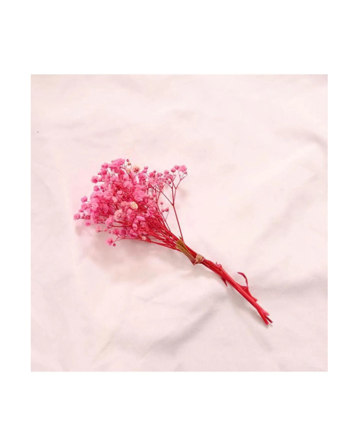 HOBİCİLER PEMBE Kurutulmuş Cipso Pıtırcık Çiçek Epoksi Süsü Paketleme Süsü 10 gr Mini Demet