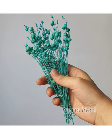 HOBİCİLER Doğal Kurutulmuş MAVİ Keten Fasulye Çiçeği Epoksi Reçine Mum Süsü 10 gr