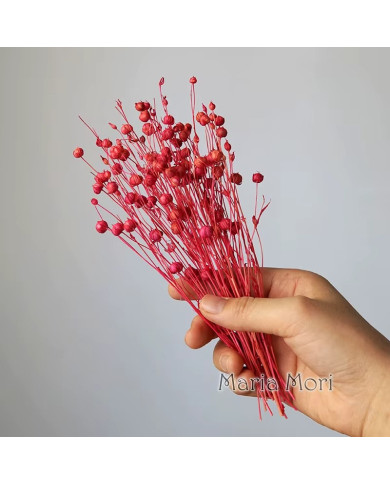 HOBİCİLER Doğal Kurutulmuş PEMBE Keten Fasulye Çiçeği Epoksi Reçine Mum Süsü 10 gr