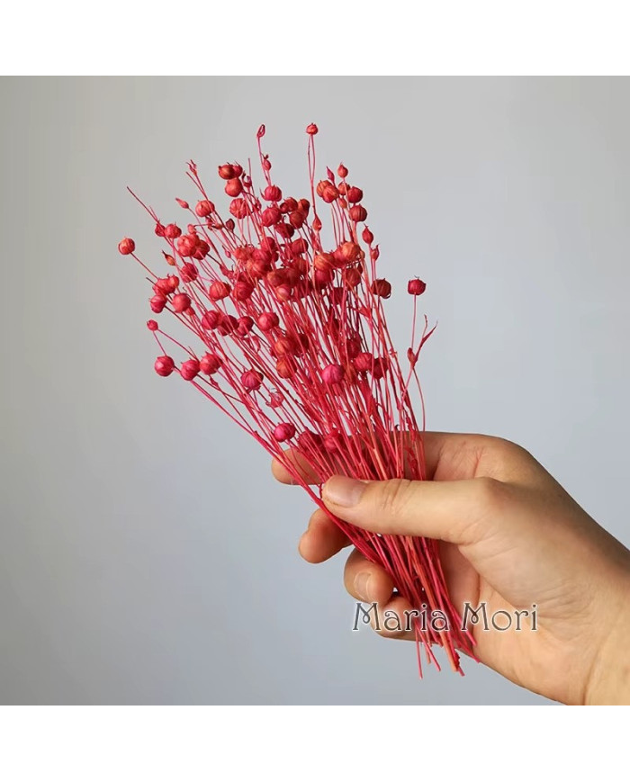 HOBİCİLER Doğal Kurutulmuş PEMBE Keten Fasulye Çiçeği Epoksi Reçine Mum Süsü 10 gr