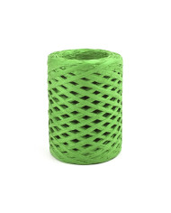 HOBİCİLER YEŞİL Rafya İp Şapka Çanta Kağıt Ambalaj İpi 100 gr 100 m Raffia Natural Kağıt İp