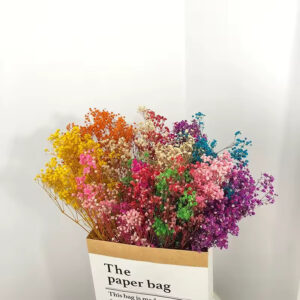 Kurutulmuş Şoklanmış Karışık Cipso Çiçek Gypsophila Dekor