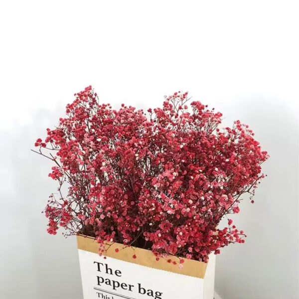 Kurutulmuş Şoklanmış Kırmızı Cipso Çiçek Gypsophila Dekor