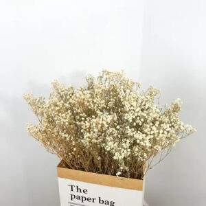 Kurutulmuş Şoklanmış Krem Cipso Çiçek Gypsophila Dekor