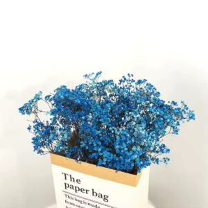 Kurutulmuş Şoklanmış Mavi Cipso Çiçek Gypsophila Dekor