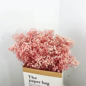 Kurutulmuş Şoklanmış Pembe Cipso Çiçek Gypsophila Dekor