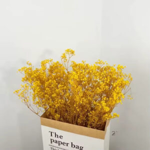 Kurutulmuş Şoklanmış Sarı Cipso Çiçek Gypsophila Dekor