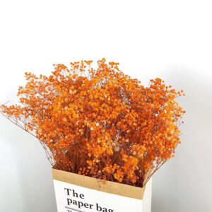 Kurutulmuş Şoklanmış Turuncu Cipso Çiçek Gypsophila Dekor